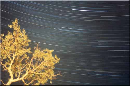 Stars and Jupiter over Arrowhead Park.