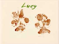 Lucy's paw prints