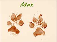 Max's paw prints